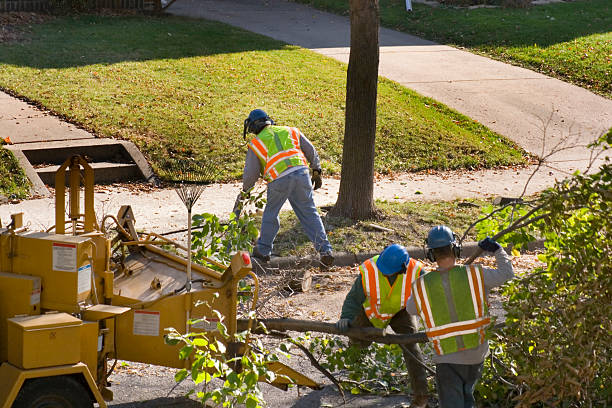 Best Artificial Turf Installation  in Willow Oak, FL